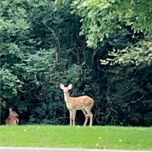 Meet your Posher @holshaffer